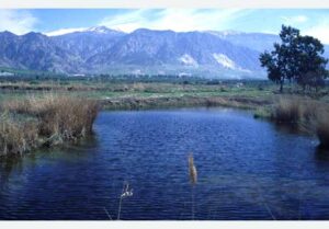 Laguna de Agia (A. Castillo, marzo 2001)