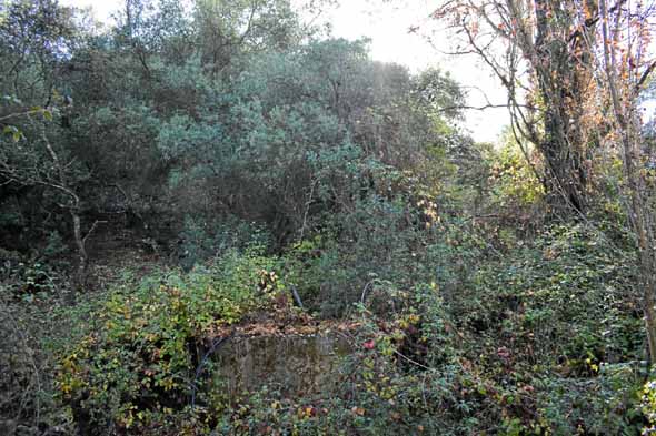 Fuente del Huerto Quiloso, en la actualidad reconvertida en pozo (Antígona M. Pascual, diciembre 2019)