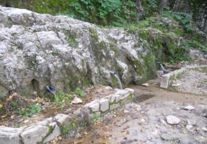 Fuente de la Zarza (S. Rodríguez Domínguez, noviembre 2012)