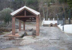 Nacimiento del Juncal (S. Leiva, enero 2010)