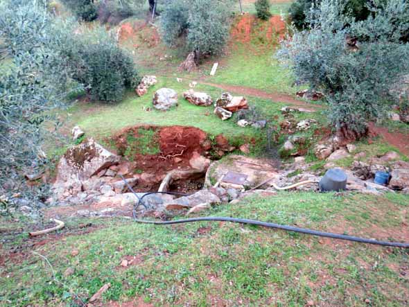 La fuente Chuparra en mitad del cauce del arroyo La Urraca (R. Velasco Riejos, marzo 2020)