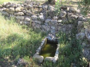 Fuente de los Arrayanes (F. Aguilera Civantos, mayo 2020)