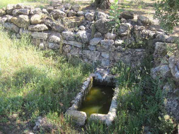 Fuente de los Arrayanes (F. Aguilera Civantos, mayo 2020)