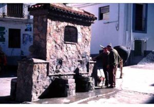 Cañillos Chicos (A. Castillo, marzo 2003)