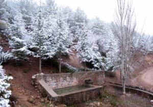 Fuente de las Casas de Don Diego (A. Castillo, noviembre 2008)