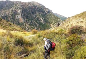 Chortal del Cortijo de la Solana (A. Castillo Martín, octubre 2020)