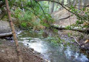 Nacimiento del Río (A. Castillo, julio 2008)