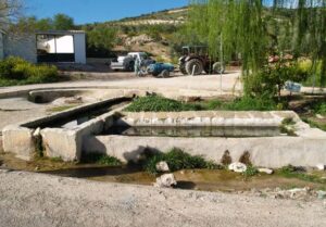 Fuente de Morellana (A. Castillo, mayo 2005)