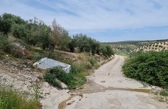 Acceso al pilar del Pilarejo (J. A. Ruiz, mayo 2021)