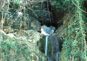 Nacimiento de las Tabernillas (A. Castillo)