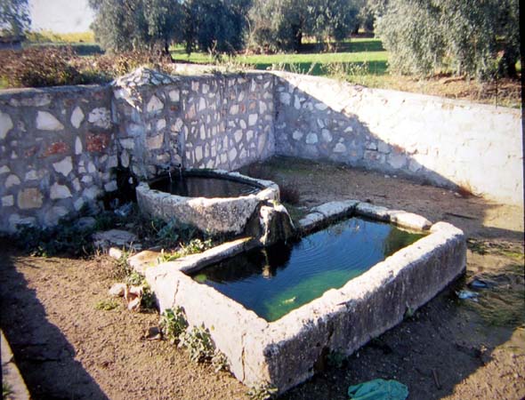 Fuente del Cañuelo (R.Córdoba de la Llave, 1998)