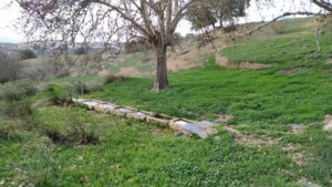 Fuente del cortijo de Don Pedro (F. Aguilera Civantos, marzo 2024)
