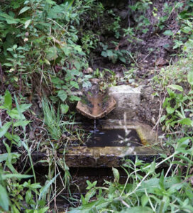 Fuente del Bosque (I. Morón, julio 2024)