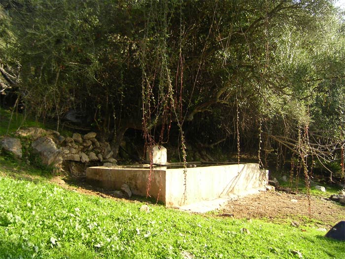 Pilar en el nacimiento del Arroyo del Montoncillo (Serafín Parra, 2004)