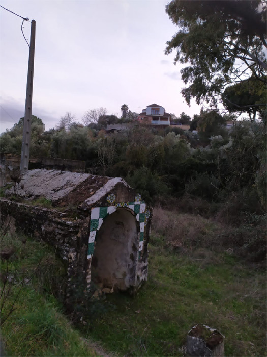 Alcubilla del Rosal de Trespalacios (Manuel Trujillo, enero 2021)