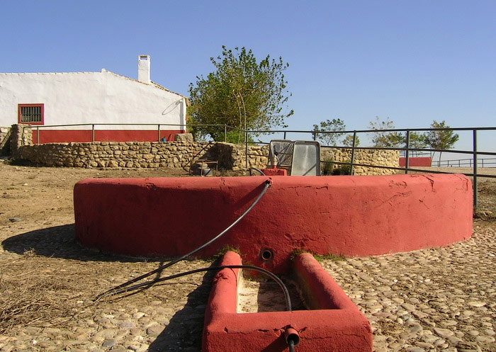 Fuente del Cercado de las Pitas (Serafín Parra, 2004-2006)
