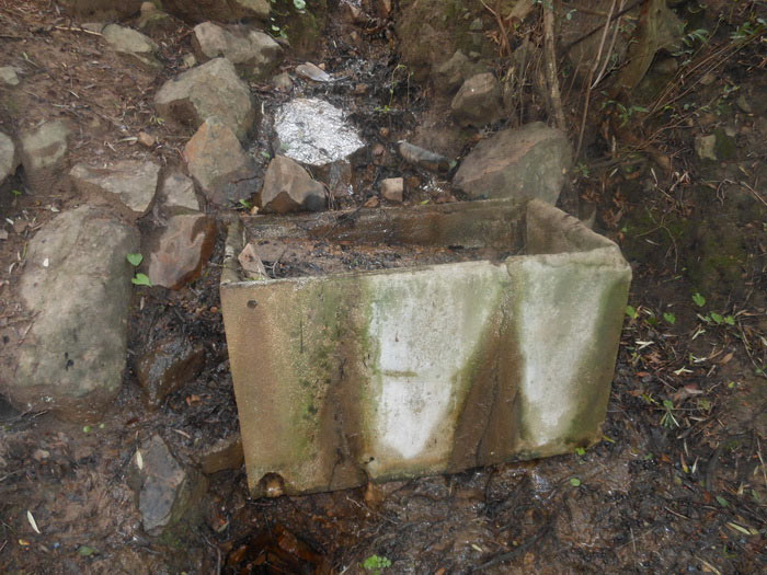 Fuente de los Pradillos (M. Trujillo, marzo 2014)