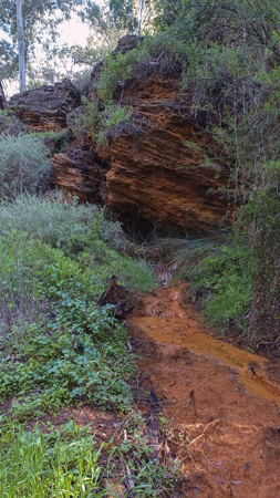 Rezume del Barranco del Salao (J. Rubia González, abril 2025)