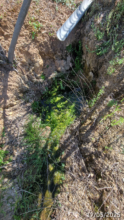 Rezume de la Huerta de La Cuesta de Los Molinos (A. Ventas, mayo 2025)