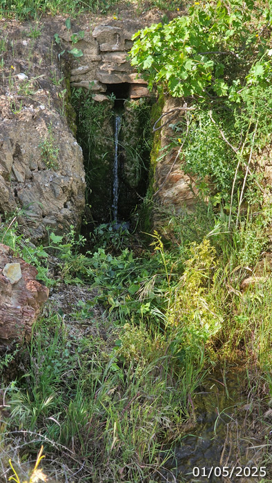 Fuente de Antonio Cucharo (A. Ventas, mayo 2025)