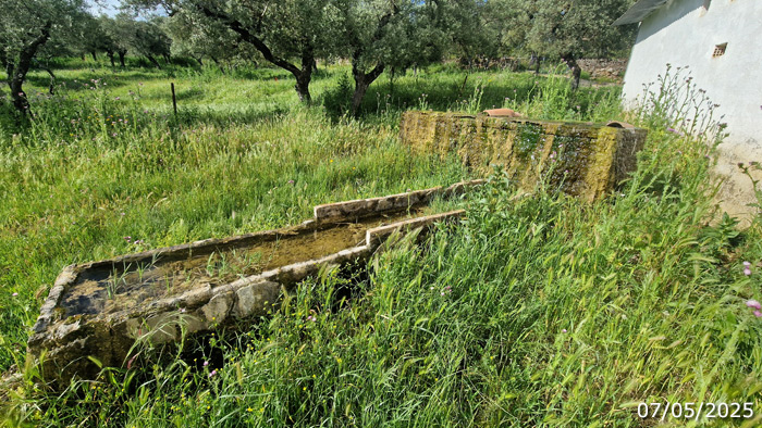 Pilar y abrevadero, junto a la esquina del cortijo (A. Ventas, mayo 2025)