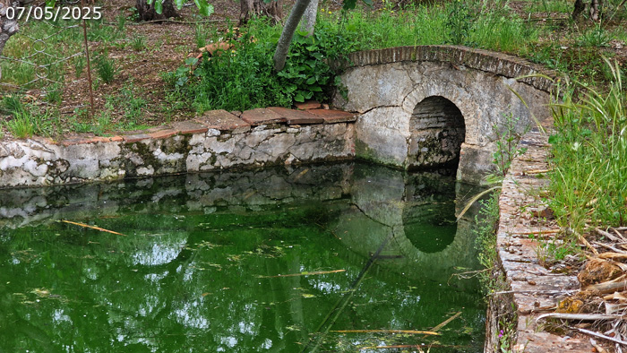 Alberca con la salida de agua desde la galería abovedada (A. Ventas, mayo 2025)