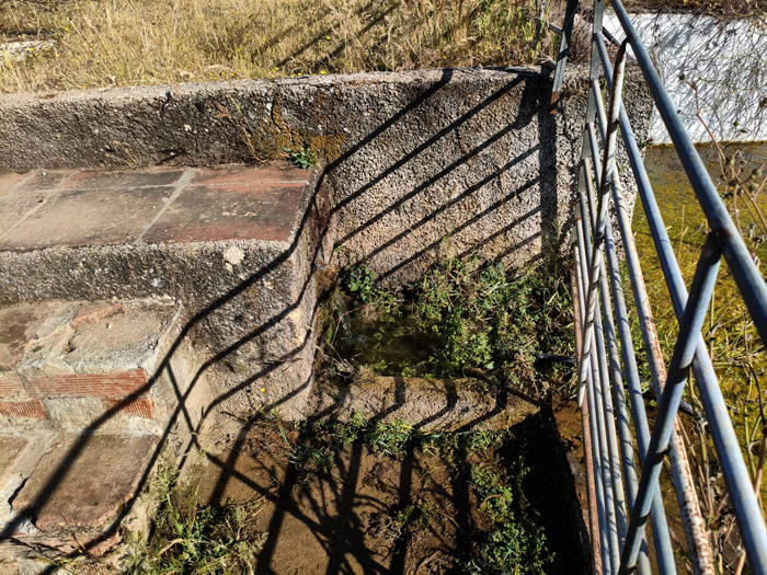 Fuente de Sangrelinda, junto a la alberca (J. Pedro Rivero, junio 2026)