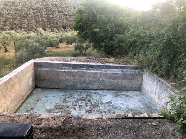 Vista general de la alberca vacía (C. Sánchez Uceda, junio 2026)