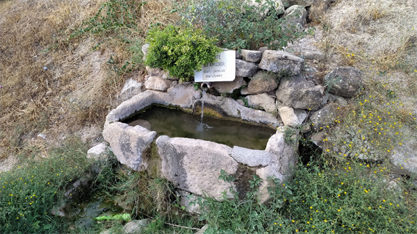 Fuente de Amador (F. Aguilera Civantos, agosto 2026)