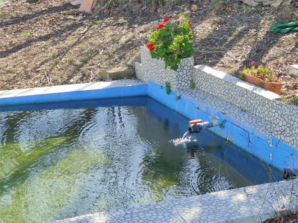 Caño de agua del manantial de la fuente de Mármol (D. Sánchez Garrido, febrero 2012)