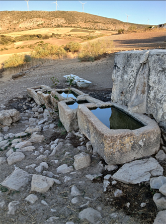 Abrevadero del Cortijo Juan de la Madre (S. Rodríguez Domínguez, agosto 2026)