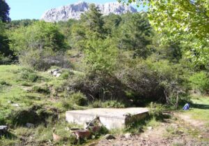 Fuente de los Linillos (A. Castillo, mayo 2009)