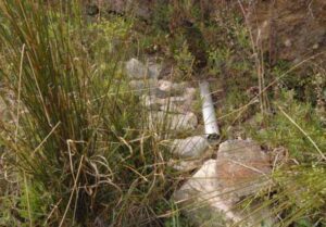 Manantial de Arriba (F. Espigares Hurtado, mayo 2009)