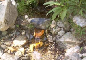 Fuente El Chinar (L. López Alcaide, mayo 2009)