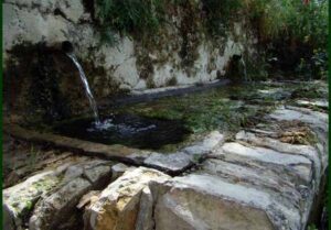 Fuente de Los Solanos (B. Montes Pérez, junio 2009)