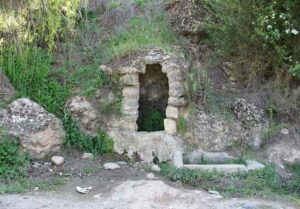 Fuente del Pozo Ronco (F. Serrano García, abril 2002)