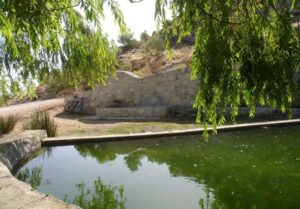 Fuente Alta (J. D. Cano Cavanillas, julio 2009)