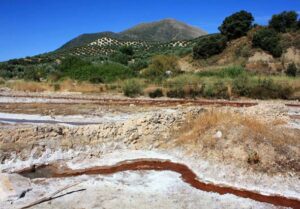 Manantial de las Salinas, río Salado, pico Tiñosa y Horconera al fondo (B. Montes Pérez, julio 2009)