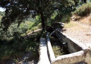 Pilarillo del Chaparral del Cortijo alto. Pila más moderna con agua (B. Montes Pérez, julio 2009)