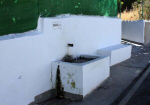 Fuente de Albayate del Castellar (B. Montes Pérez, julio 2009)
