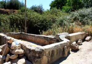 Fuente del Cañuelo Baja (B. Montes Pérez, Julio 2009)