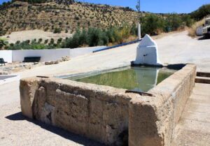 Fuente alta del Cañuelo (B. Montes Pérez, julio 2009)
