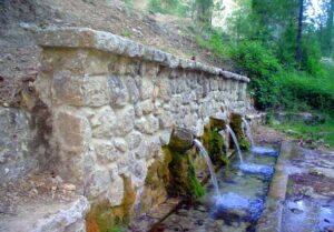 Fuente de la Garganta (R. Calvillo, julio 2009)