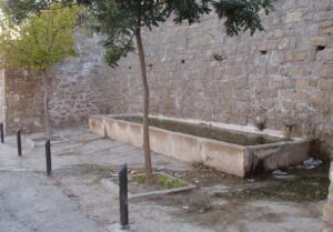 Fuente de la Pitarra (L. Linares Girela, agosto 2009)