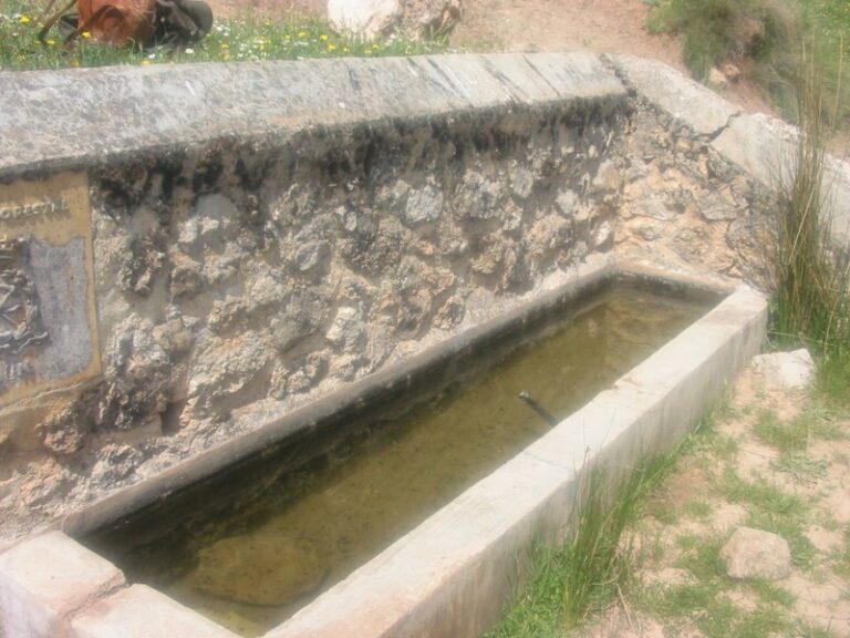 Pila de la Fuente del Borrego (F. Serrano García. abril 2005)