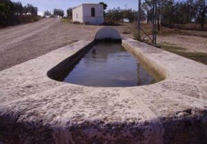 Fuente de Birrete (R. Cobano Navarrete, octubre 2009)