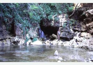 Manantial de Túnez (A. Castillo)