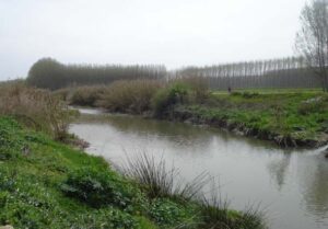 Nacimientos del río Genil (V. M. Robles, marzo 2011)