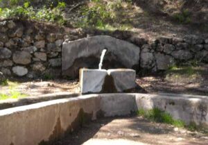 Fuente del Noguerón (A. Guzmán Rodriguez, octubre 2009)