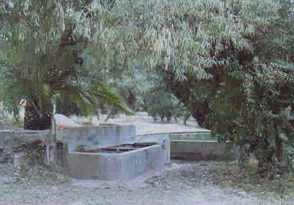 Fuente Rueda (A. J. Martínez Leiva, noviembre 2009)